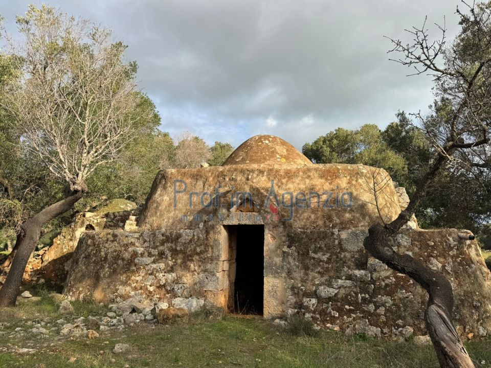 Landejendom i Carovigno, Brindisi - foto 1